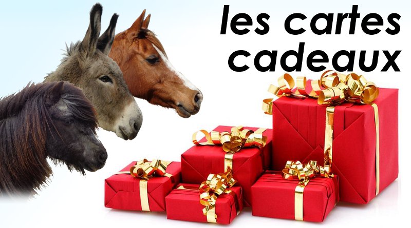Carte cadeau cheval poney âne | Ferme Équestre de la Grésigne